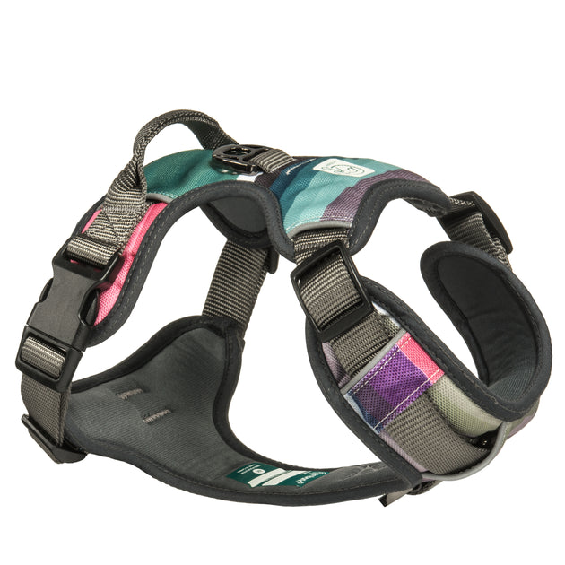 Embark pets outlet adventure dog harness