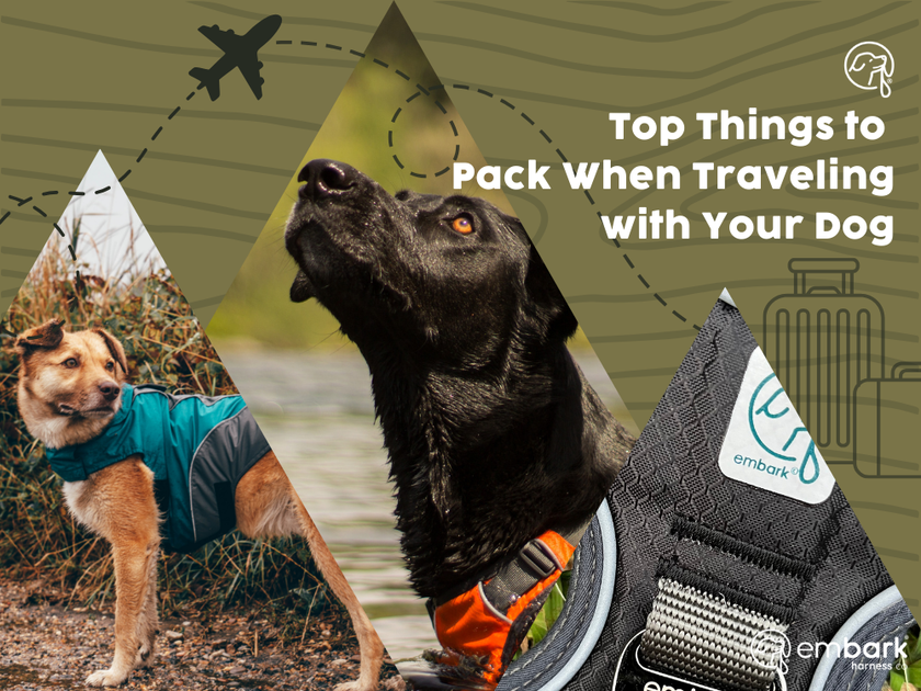 Ready, Set, Adventure! – Embark Harness Co.