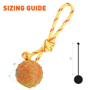 FDT Solid Rubber Dog Ball on Rope, Large - Diameter 2.75" (7 cm)