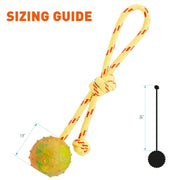 FDT Rubber Dog Ball on Rope, Small - Diameter 2" (5 cm)