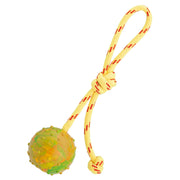 FDT Rubber Dog Ball on Rope, Medium - Diameter 2.3" (6 cm)