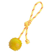 FDT Rubber Dog Ball on Rope, Medium - Diameter 2.3" (6 cm)