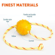 FDT Rubber Dog Ball on Rope, Medium - Diameter 2.3" (6 cm)