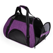 Breathable Mesh Pet Carrier