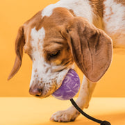 Rubber Ball with Rope