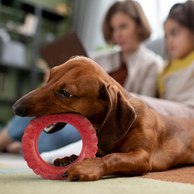 Rubber Tire Toy