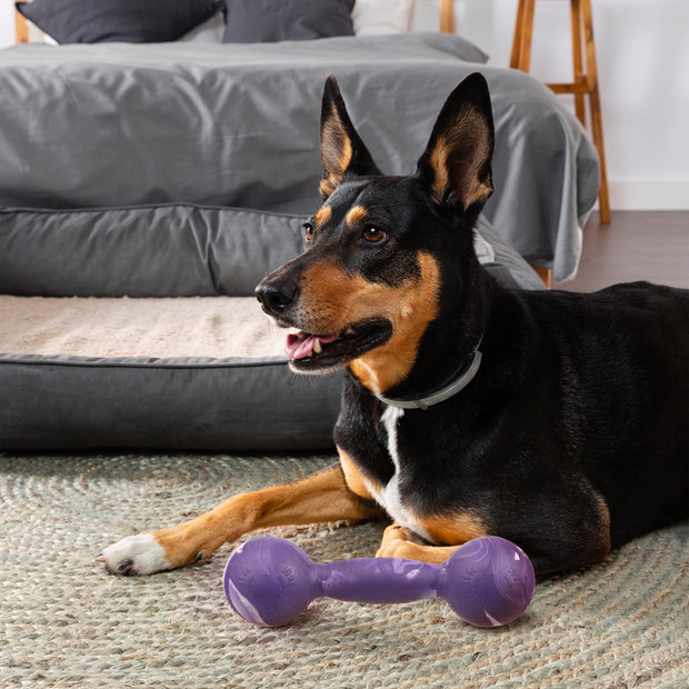 Rubber Dumbbell Toy