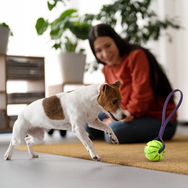 Rubber Spiral Ball with Biothane Handle