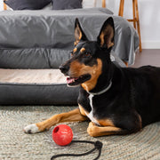 Rubber Ball with Rope