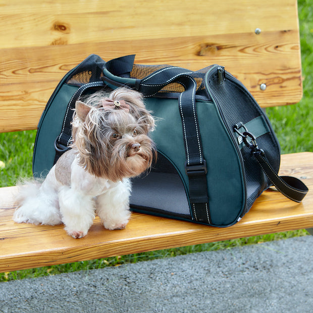 Breathable Mesh Pet Carrier