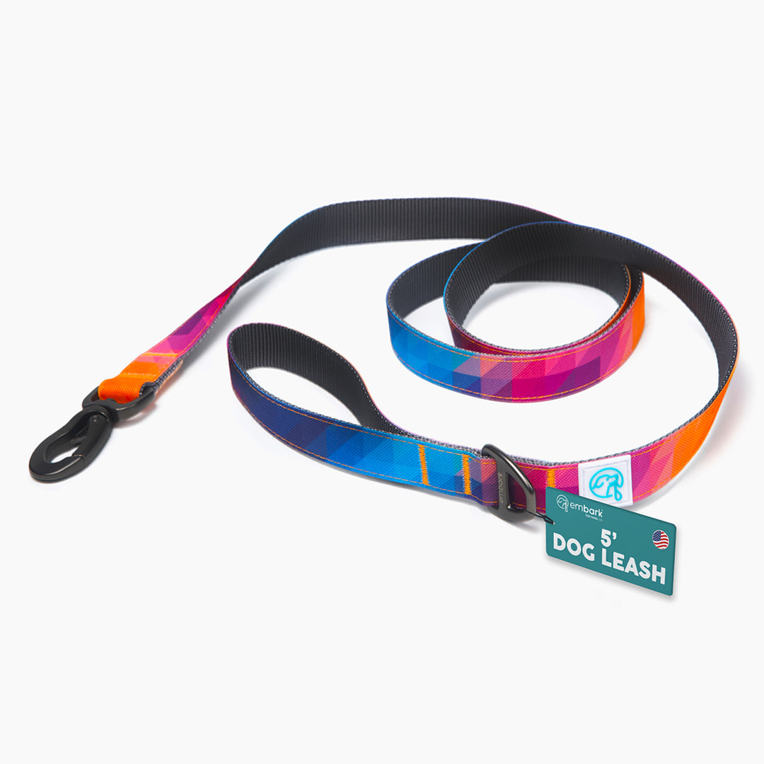 Embark Adventure Leash – Embark Harness Co.