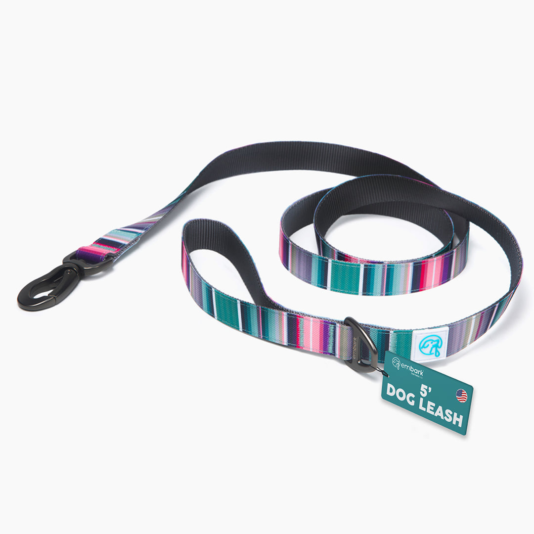 Embark Adventure Leash – Embark Harness Co.