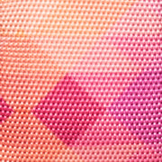 Adventure No-pull Harness