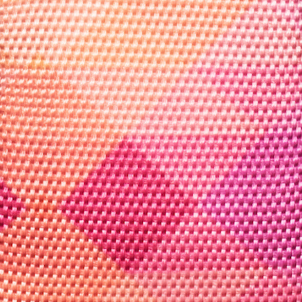 Adventure No-pull Harness