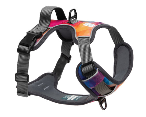 Adventure No Pull Dog Harness - Aurora