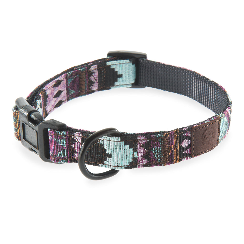 Aztec dog clearance collar and leash