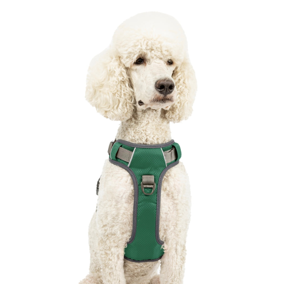 Shop Adventure Dog Harness Embark Pets