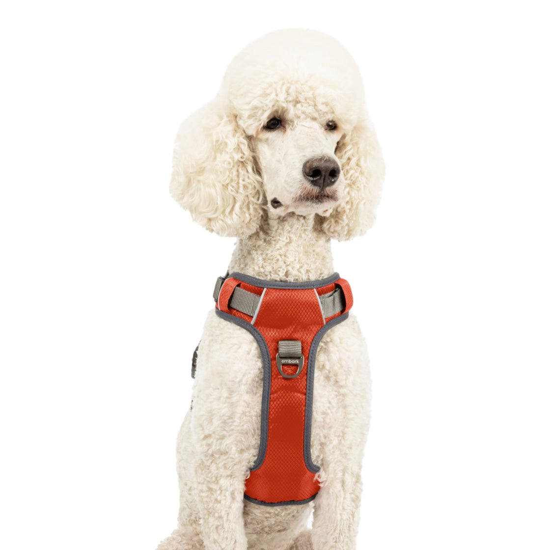 Shop Adventure Dog Harness | Embark Pets