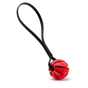 Rubber Spiral Ball with Biothane Handle