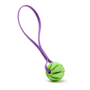 Rubber Spiral Ball with Biothane Handle