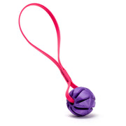 Rubber Spiral Ball with Biothane Handle