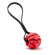 Rubber Spiral Ball with Biothane Handle