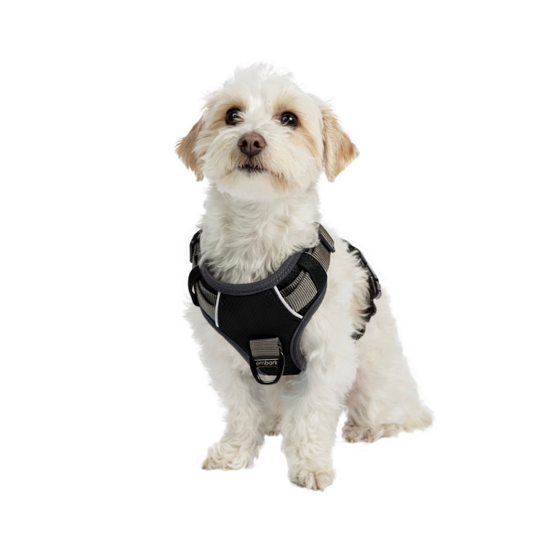 Shop Adventure Dog Harness | Embark Pets