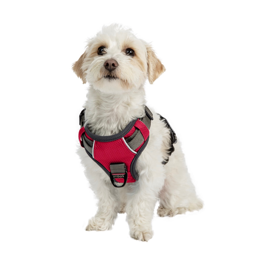 Shop Adventure Dog Harness | Embark Pets