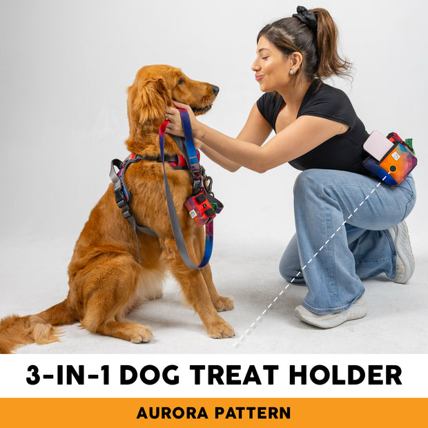 Adventure 3-in-1 Treat Bag