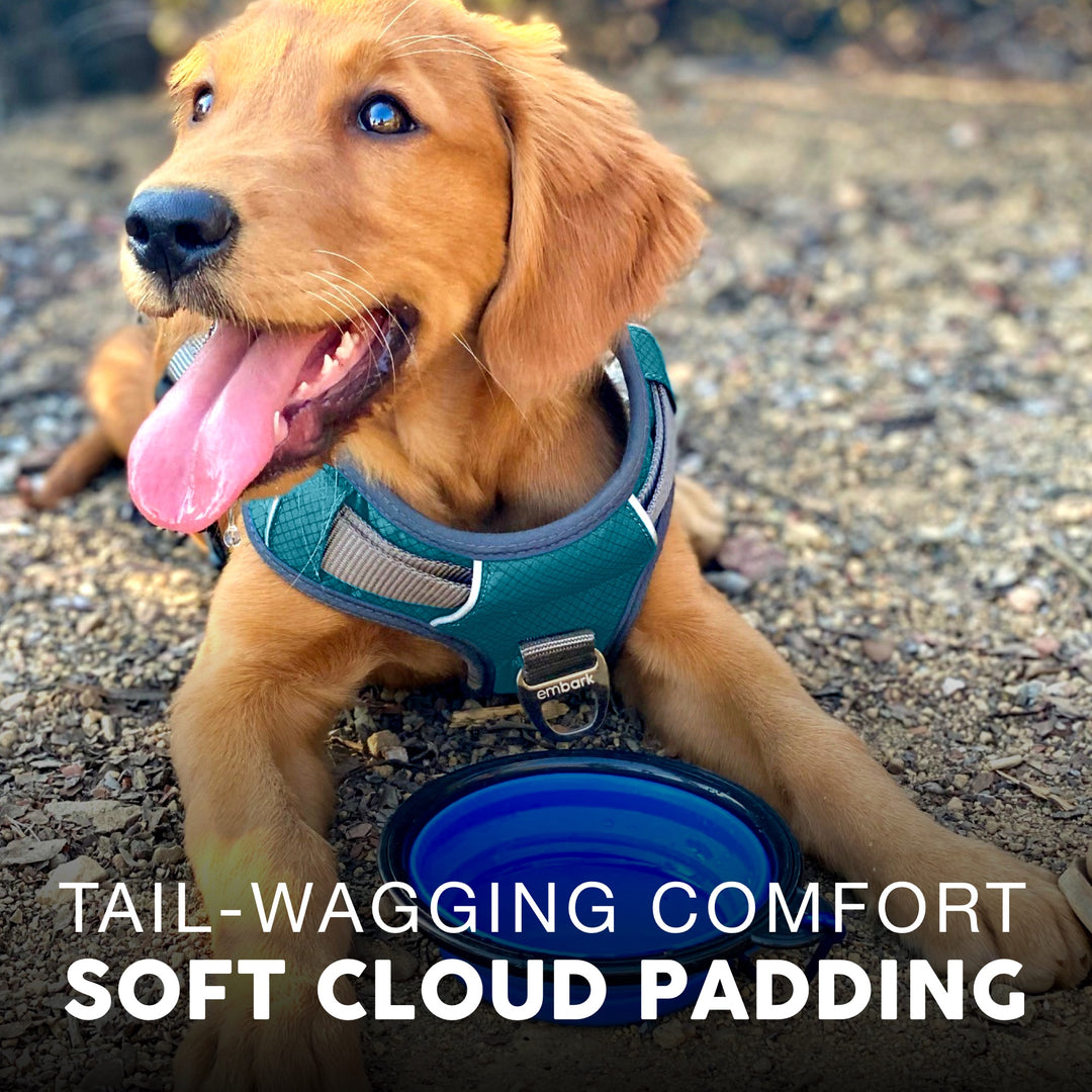 Embark Pets エンバーク　ハーネス　オーロラ　Sサイズ Amazon | Embark Pets（エンバークペット）犬用ハーネス