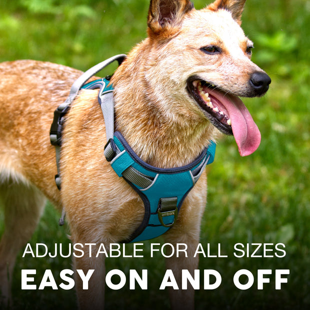 Embark Adventure No Pull Dog Harness