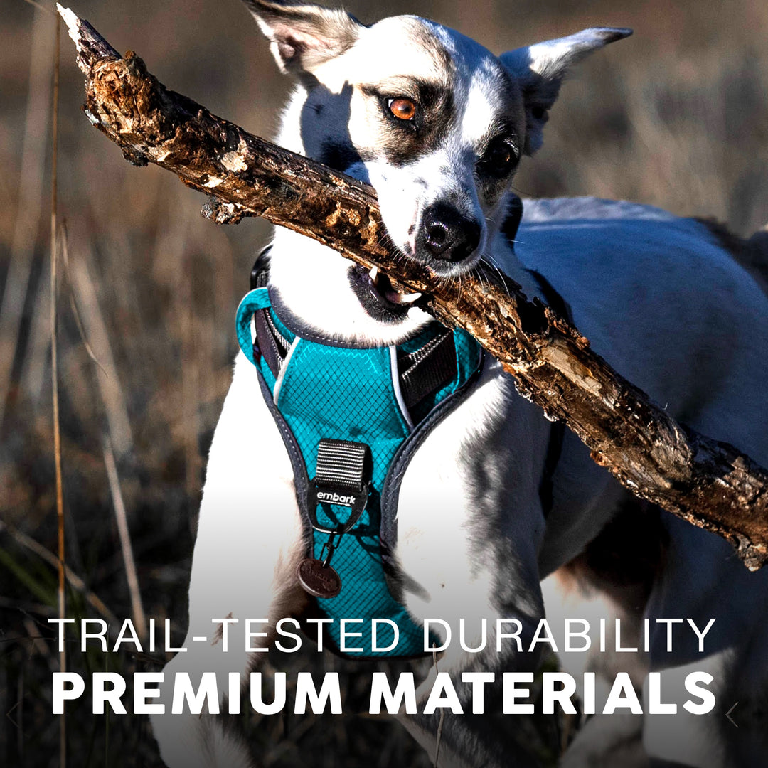 Shop Adventure Dog Harness | Embark Pets – Embark Harness Co.