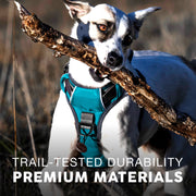 Embark Adventure No Pull Dog Harness