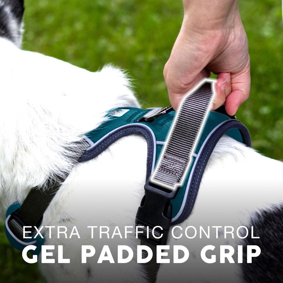 Shop Adventure Dog Harness | Embark Pets – Embark Harness Co.