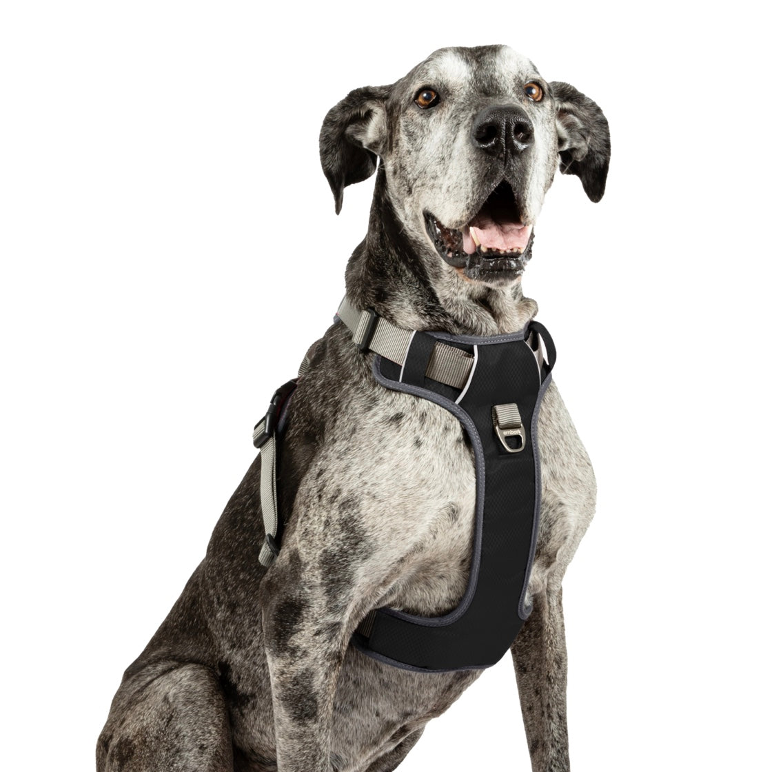 Harnesses – Embark Pets