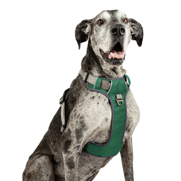 Adventure No Pull Dog Harness