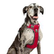 Adventure No Pull Dog Harness