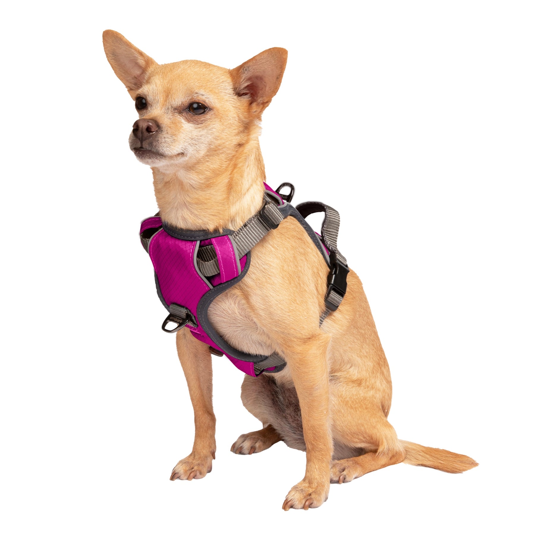 Shop Adventure Dog Harness | Embark Pets