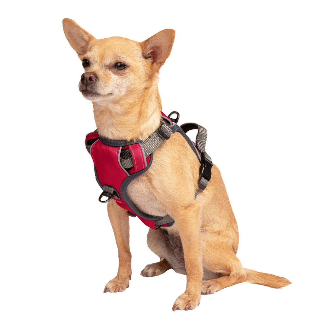 Padded puppy harness best sale