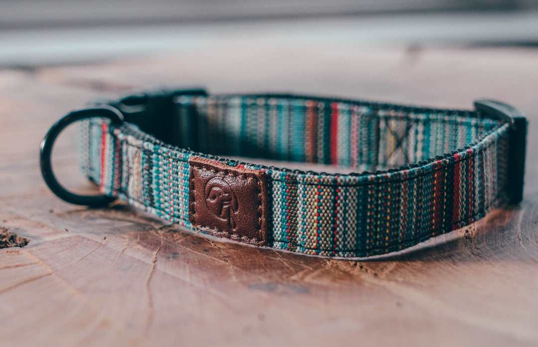 Urban Dog Collar Boho Embark Pets