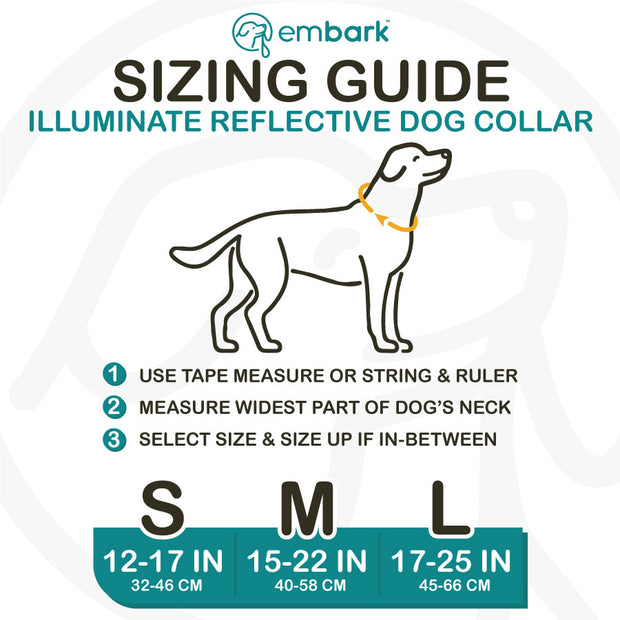 Illuminate Reflective Dog Collar