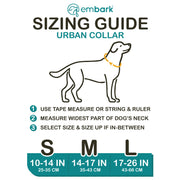 Urban Dog Collar - Azure